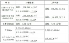 大華股份發(fā)布2023年度業(yè)績預(yù)告：營收322.31億元，業(yè)績穩(wěn)步增長
