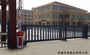 安徽悅道食品有限公司