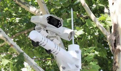 其他 - 路內(nèi)停車(chē)