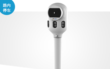車牌識別系統(tǒng) - SNT-SC600-VS路內(nèi)停車識別一體機