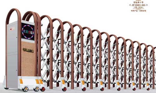 其他 - 好運來6號JF-B681-065