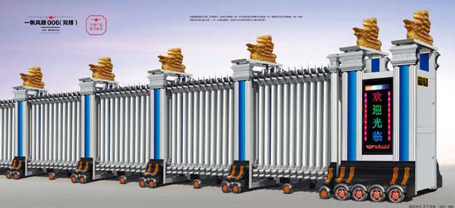 一帆風(fēng)順006(雙排)伸縮門