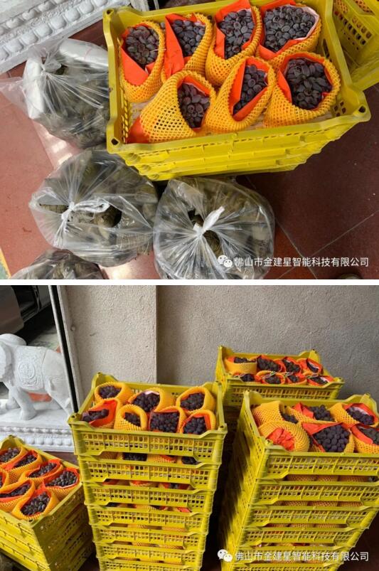 端午傳情，濃情粽香