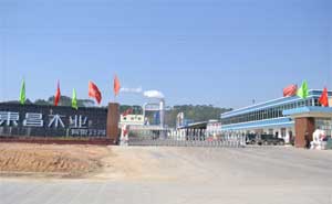 欽州市大寺東昌木業(yè)電動(dòng)伸縮門案例 - 中出網(wǎng)-智能出入口與停車充電門戶