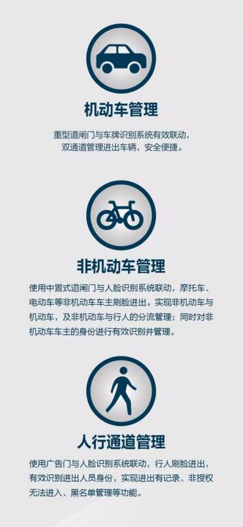 機動車道、非機動車道、人行通道