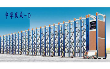 中華風(fēng)采-D