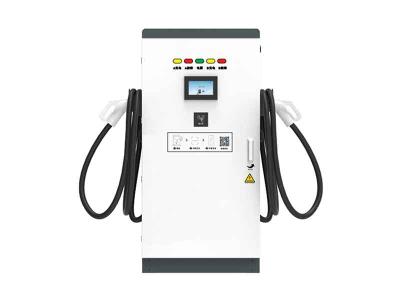 其他 - 直流充電樁EVC16-DR60K7P2（IN）