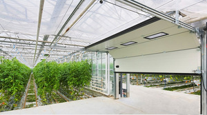 晨農(nóng)集團(tuán)溫室提升門(mén)