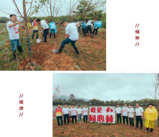江蘇國(guó)強(qiáng)植樹(shù)和揭牌