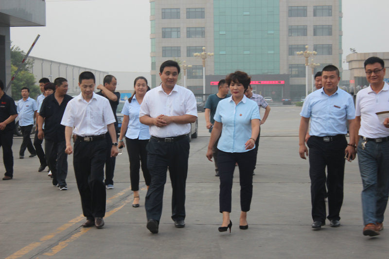 安平縣張縣長(zhǎng)來(lái)金標(biāo)考察指導(dǎo)