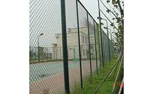 運(yùn)動(dòng)場(chǎng)館型圍欄