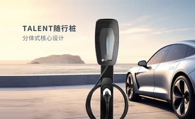 其他 - TALENT隨行樁