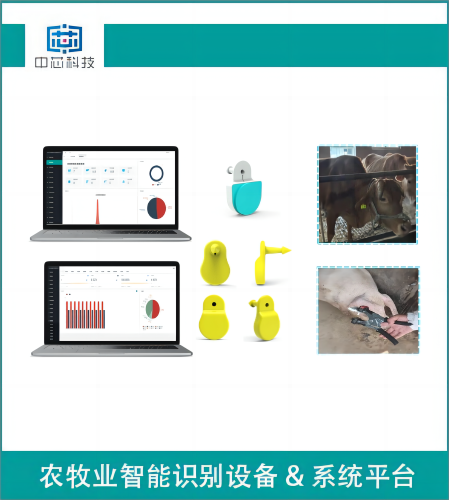 智能畜牧測(cè)溫耳標(biāo)管理系統(tǒng)