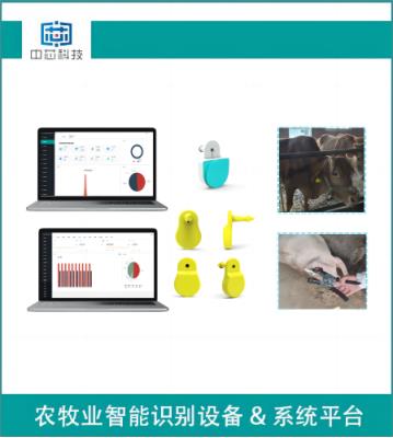 其他 - 智能畜牧測(cè)溫耳標(biāo)管理系統(tǒng)