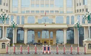 超大門(mén)口伸縮門(mén)案例