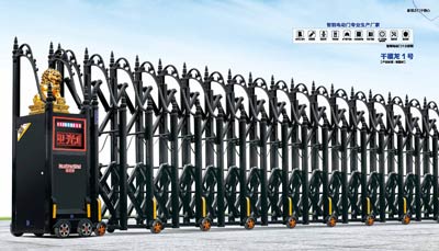 其他 - 千禧龍1號(hào)