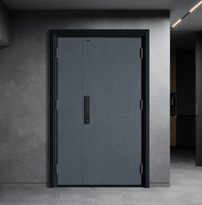 入戶門(mén)-K9GBF-Z-0102