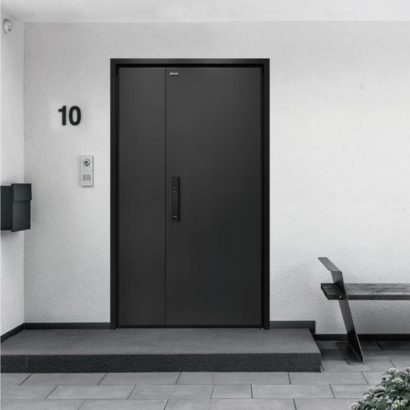 入戶門-K9GBF-P40-0102MM