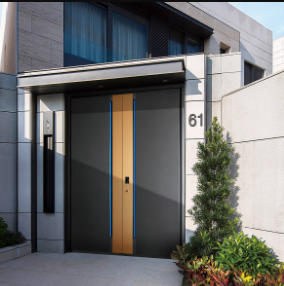 其他 - 別墅門-雅帝天際