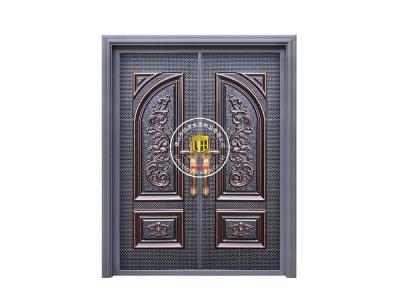 其他 - 入戶大門(mén)