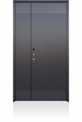 裝甲門(mén)LJ186