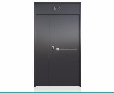 裝甲門(mén)LJ288