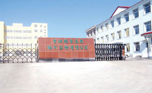 吉林糧食集團伸縮門案例