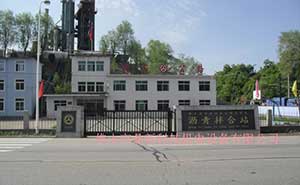 新賓公路瀝青攪拌站智能無(wú)軌懸浮門工程案例