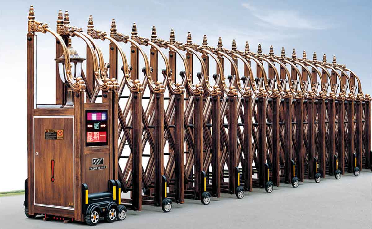 東方神龍網(wǎng)花一號(hào)