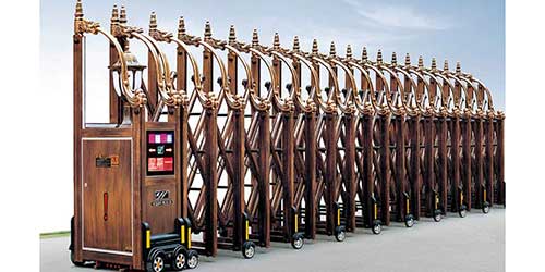 東方神龍網(wǎng)花一號(hào)