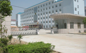 唐河農(nóng)業(yè)局伸縮門案例