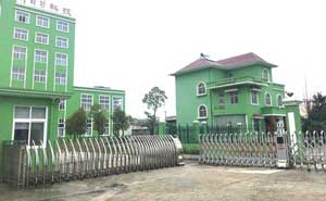 孝感蘄春李時(shí)珍醫(yī)藥集團(tuán)電動(dòng)伸縮門案例