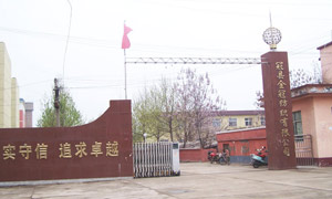 冠縣金冠紡織有限公司伸縮門案例