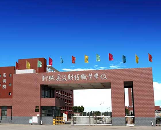 聊城高級財經(jīng)學(xué)校電動伸縮門案例 - 中出網(wǎng)-智能出入口與停車充電門戶