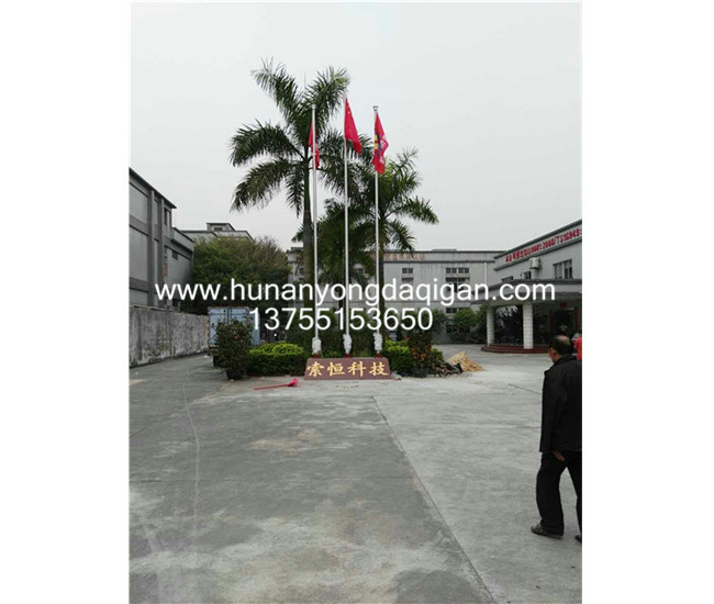 東莞厚街索恒科技有限公司旗桿案例 - 中出網(wǎng)-智能出入口與停車充電門戶