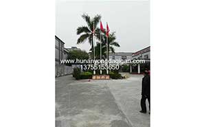 東莞厚街索恒科技有限公司旗桿案例 - 中出網(wǎng)-智能出入口與停車充電門戶