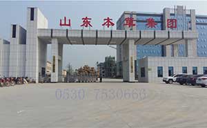 山東本草集團電動伸縮門案例