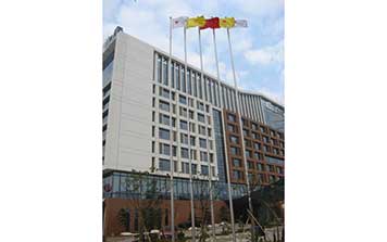 旗桿 - 電動旗桿