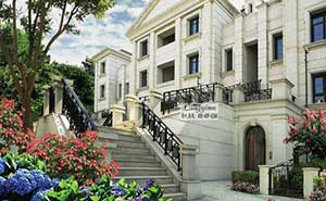 金科王府鐵藝大門(mén)案例