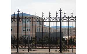 鐵藝護欄 - 鐵藝護欄-帝王式