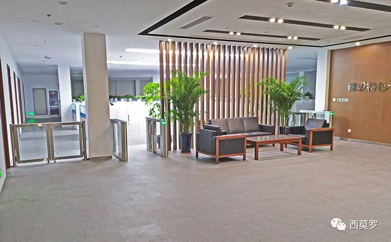 中國石化江漢石油-人臉識別擺閘