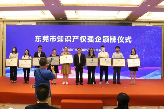 榮獲廣東省知識產(chǎn)權示范企業(yè)