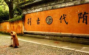 浙江天臺(tái)山通道閘案例