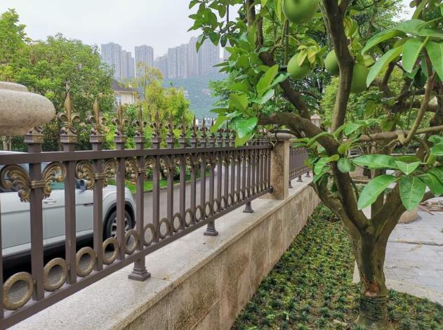 重慶融創(chuàng)凡爾賽 - 中出網-智能出入口與停車充電門戶