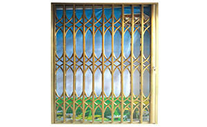 鋁合金拉閘門 - 鋁合金拉閘門
