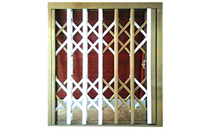 鋁合金拉閘門 - 鋁合金拉閘門