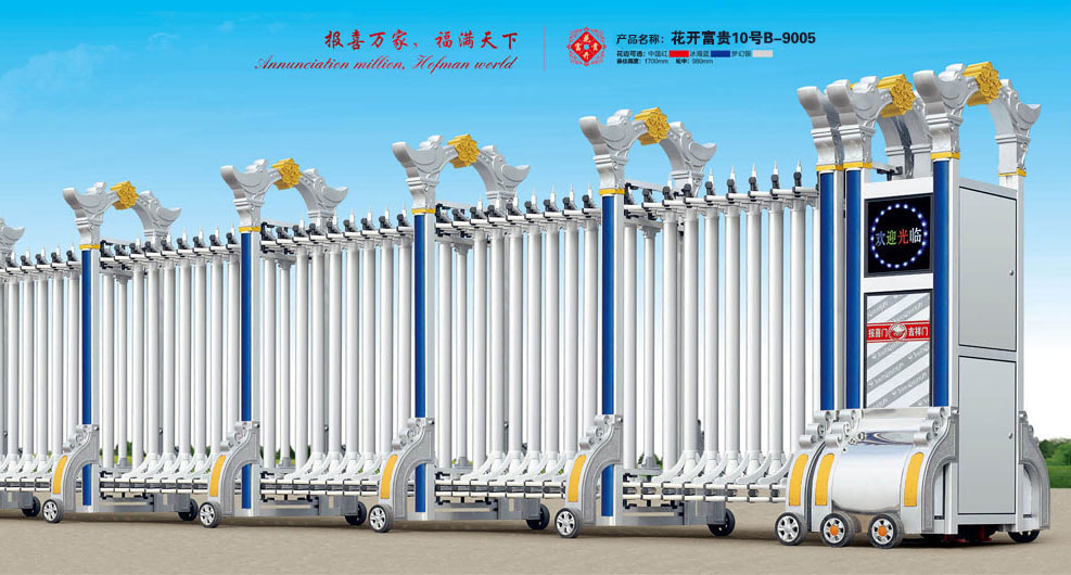 電動伸縮門 - 花開富貴10號B-9005