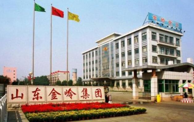 東營出安智能為山東金嶺集團有限公司添加卷簾門