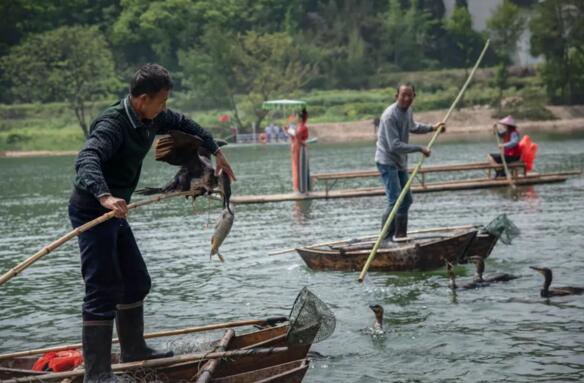 個(gè)性化旅游、沉浸式旅游
