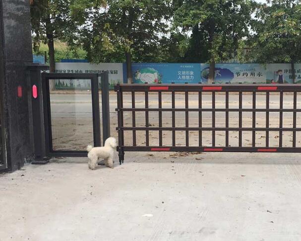 廣東省東莞市常平鎮(zhèn)木棆村環(huán)常北路 - 中出網(wǎng)-智能出入口與停車(chē)充電門(mén)戶(hù)